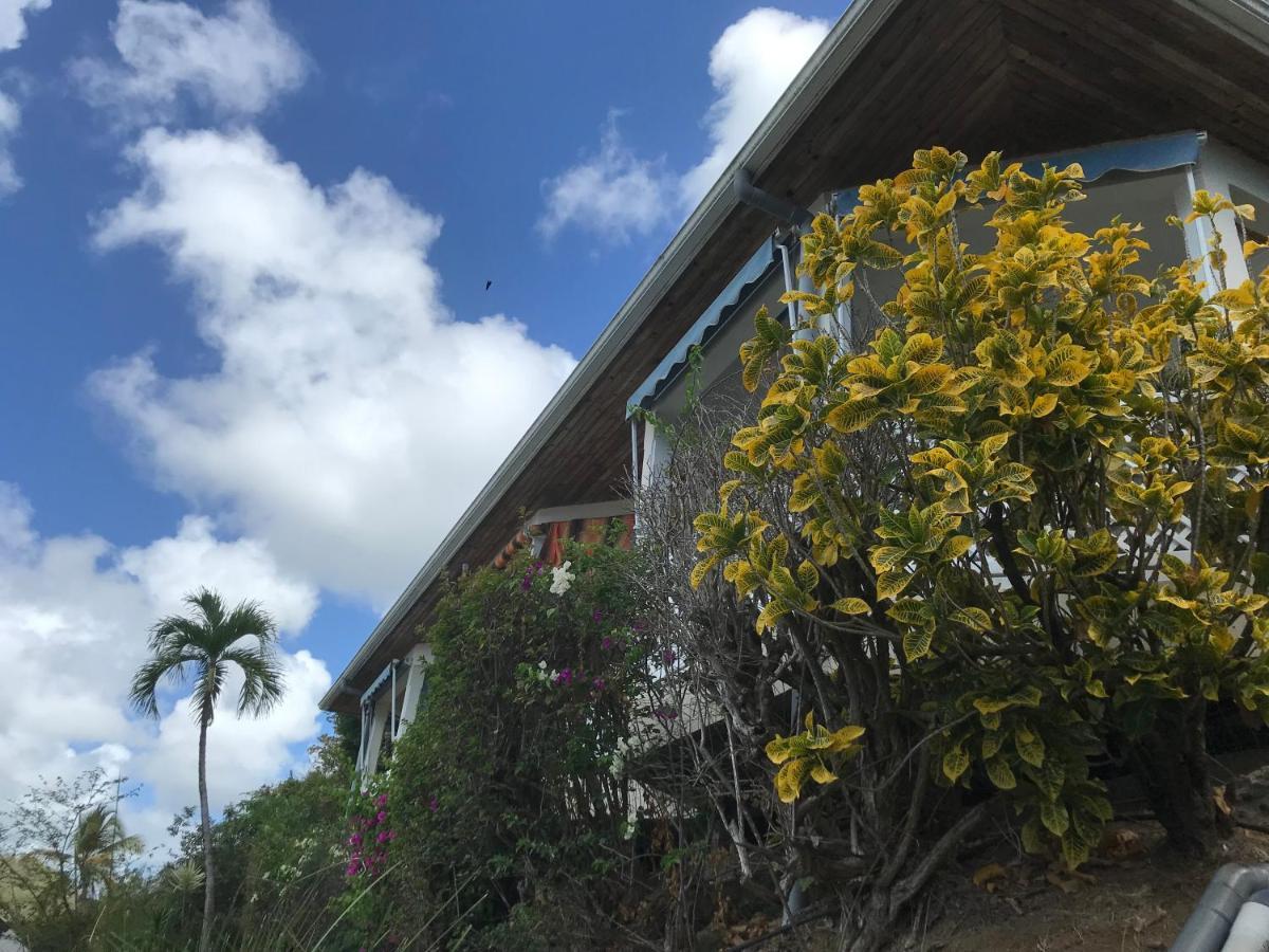 Belfond-Tropical Appartement Sainte-Anne Buitenkant foto